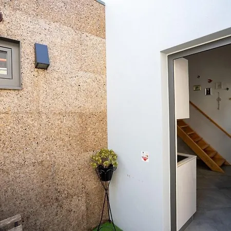 Ilha Douro House S Vitor Ii *