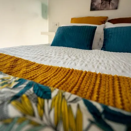 Apartment Ilha Douro House S Vitor Ii *